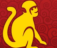 Macaco